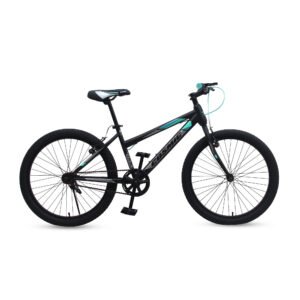 Stylish and Comfortable 24 FERN Cosmic Ladies Bicycle with Front Suspension