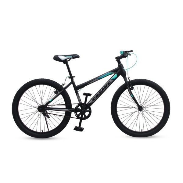 24 FERN Cosmic Ladies Bicycle - Stylish 24-Speed Bike for Women
