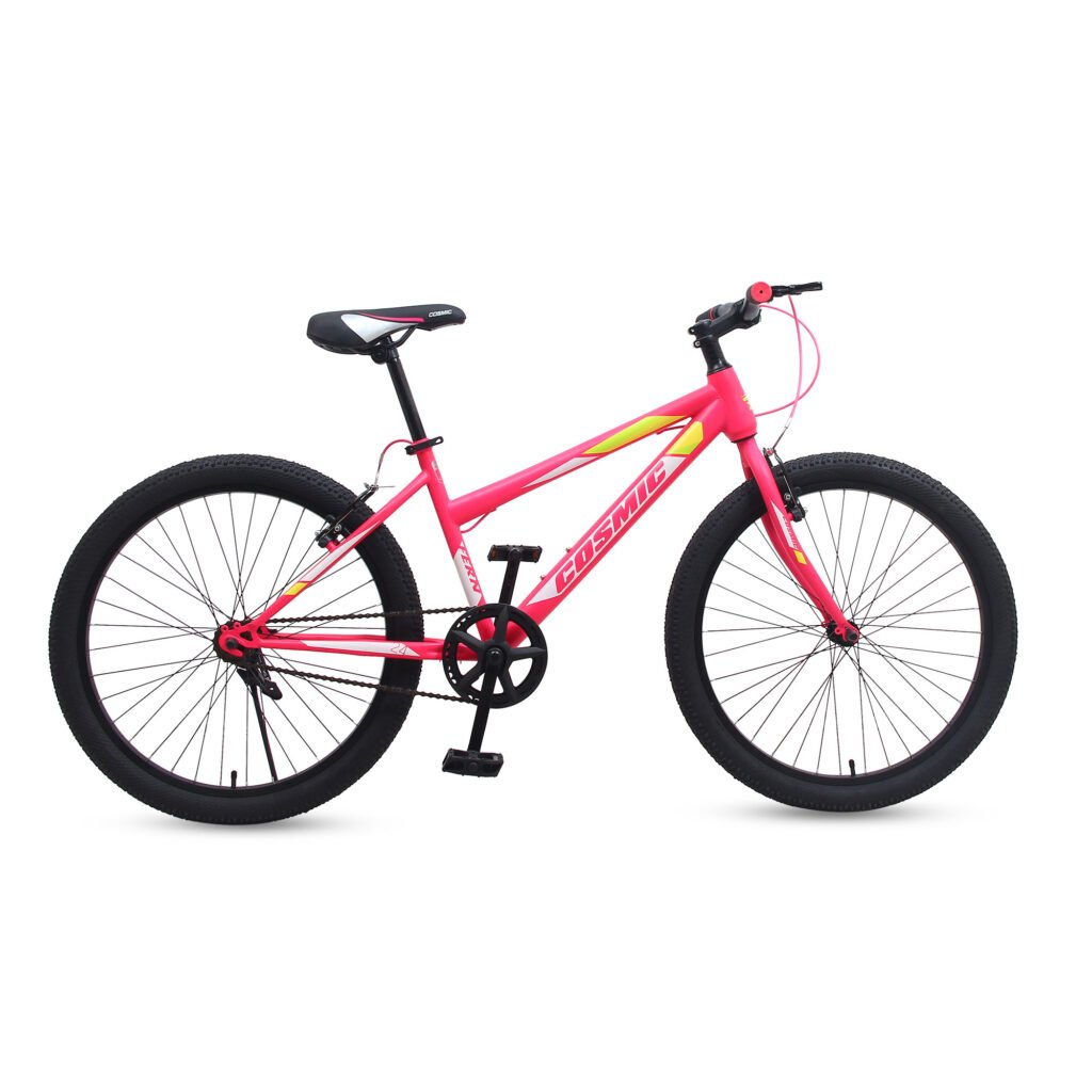 24 FERN Cosmic Ladies Bicycle - Stylish and Lightweight Female Bike