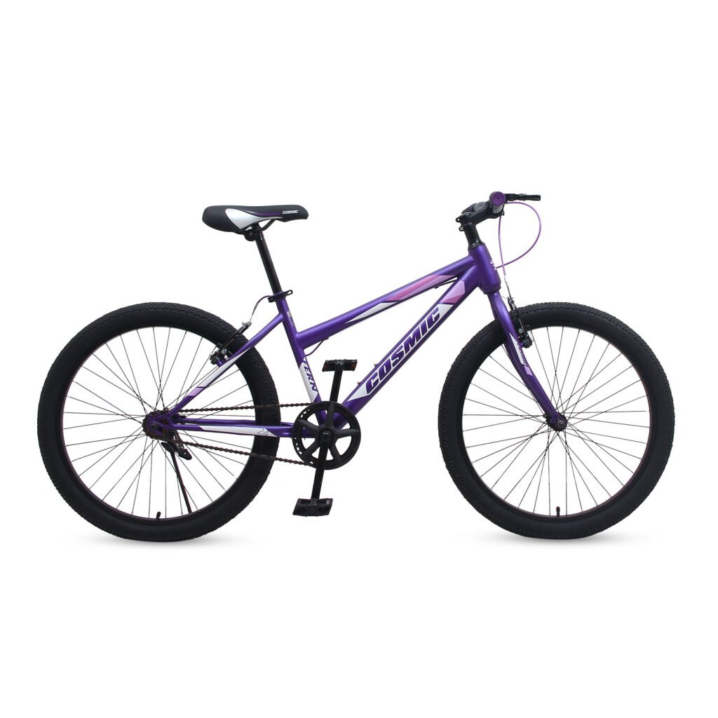 Stylish 24 FERN Cosmic Ladies Bicycle for Female Riders