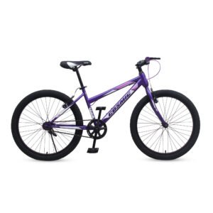 Stylish 24 FERN Cosmic Ladies Bicycle for Female Riders